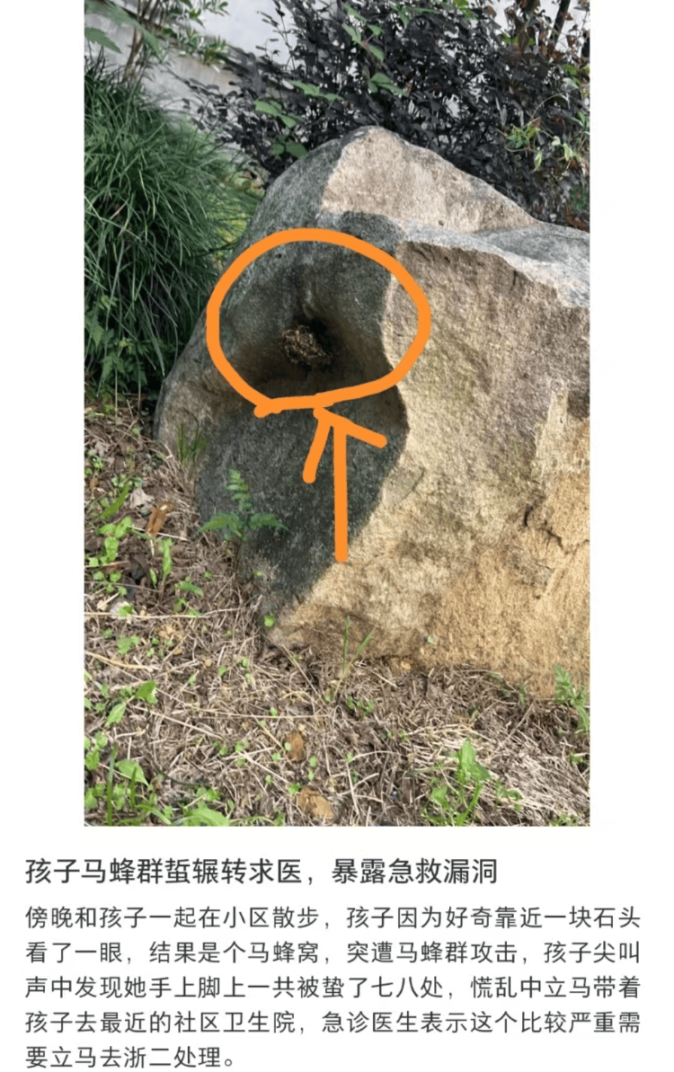 6岁女童被马蜂蜇伤辗转5家医院才得到治疗？杭州卫健委：会反映给相关处室