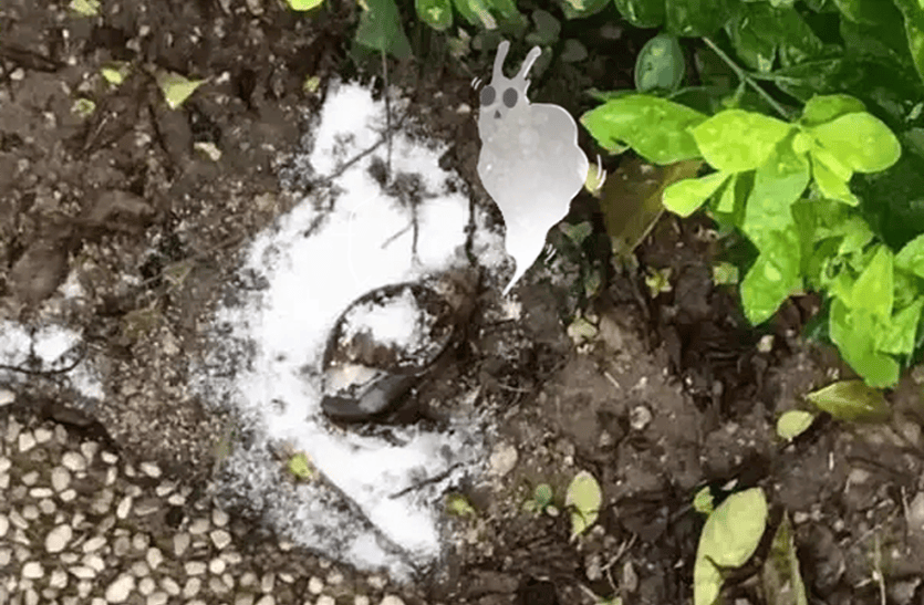 “只是摸了一下”，深圳1岁女童小区玩耍，确诊严重脑炎！最近很多人见到，千万别碰