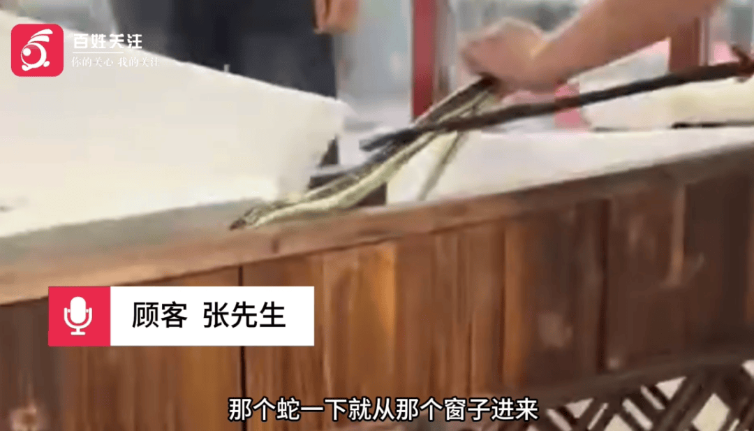 火锅店内突然窜出1.5米长大蛇，直爬食客脚面，引发全场尖叫，店主称已捉住放生