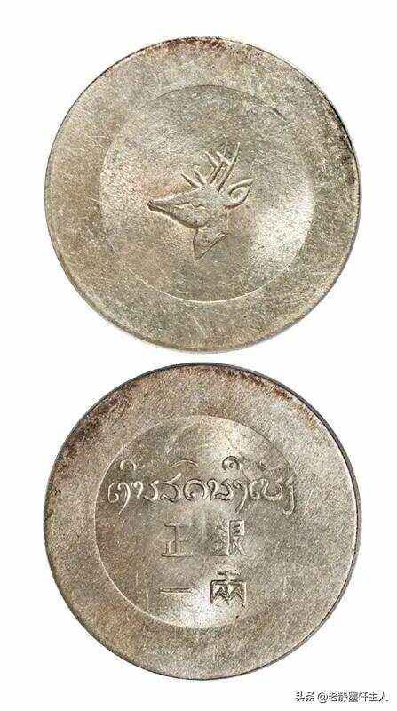 鹿币(鹿血鹿鞭鹿肾牡蛎肽片的功效) 鹿币(鹿血鹿鞭鹿肾牡蛎肽片的功效)